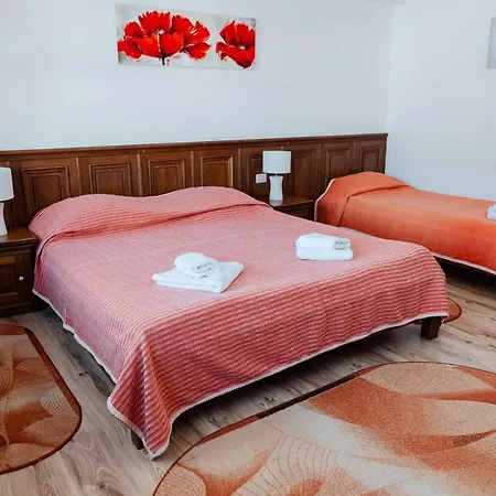 Guest house Casa Marta *